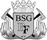 Abbildung BSG-Logo
